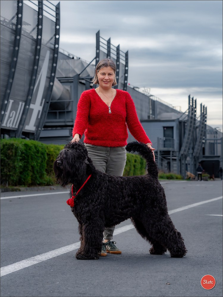 PDS  🇫🇷  Paris Dog Show  🇫🇷  Expo canine  10-11/01/2026. Photographe à Strasbourg | Portraits, Studio, Enfants, Événements