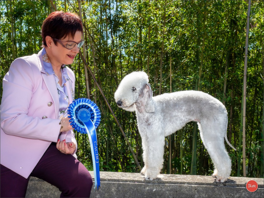 Expositions canines 14 avril 2024 Lyon. Photographe à Strasbourg | Portraits, Studio, Enfants, Événements