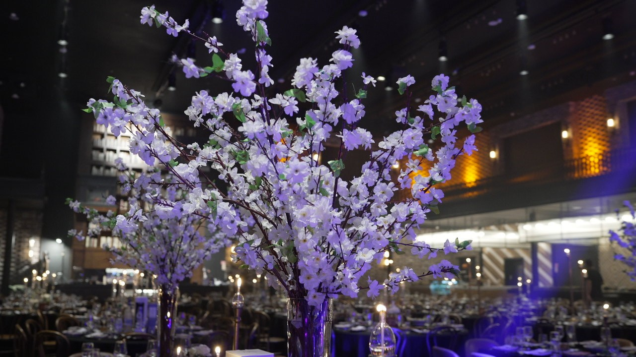 VIA / BASICO. Wedding and events photographers Studio Shalom