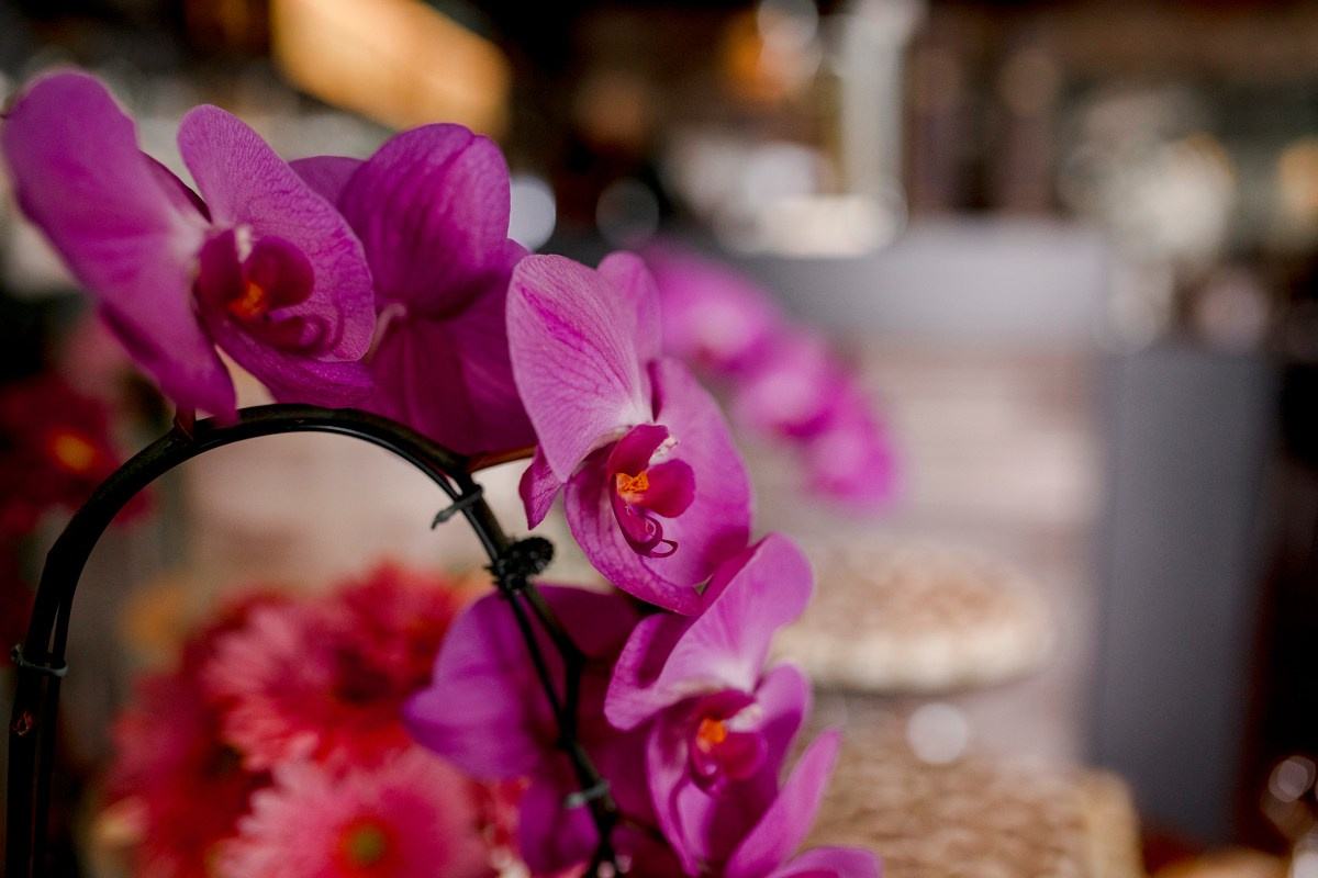 Casamento - Lo e Uli. Fotógrafa de Eventos em São Paulo e Sorocaba Kika Damasceno