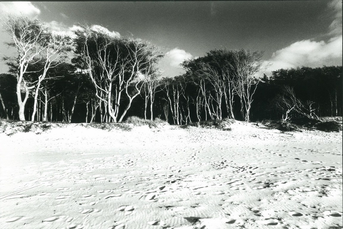 Sacra Natura. Katerina Kiper Photography