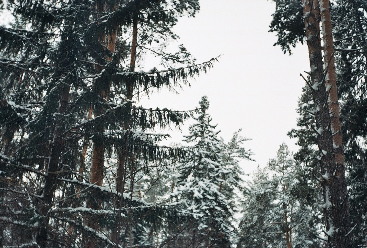 Ochyor (Perm region, Russia) 2013. Elena Zykova film photographer in London