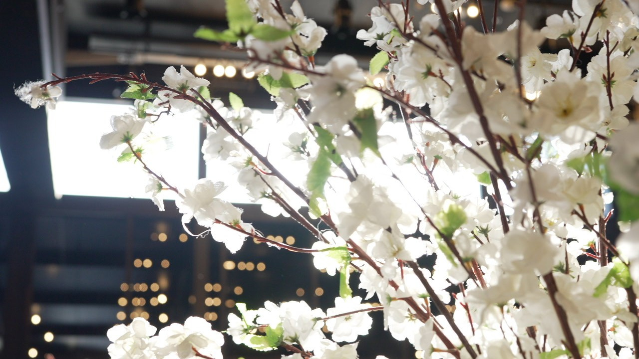 VIA / BASICO. Wedding and events photographers Studio Shalom