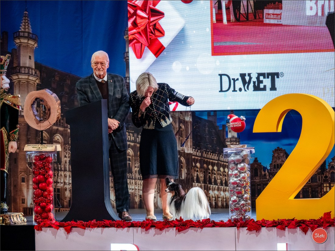 14-15.12.2024 Brussels Dog Show 🇧🇪. Photographe à Strasbourg | Portraits, Studio, Enfants, Événements