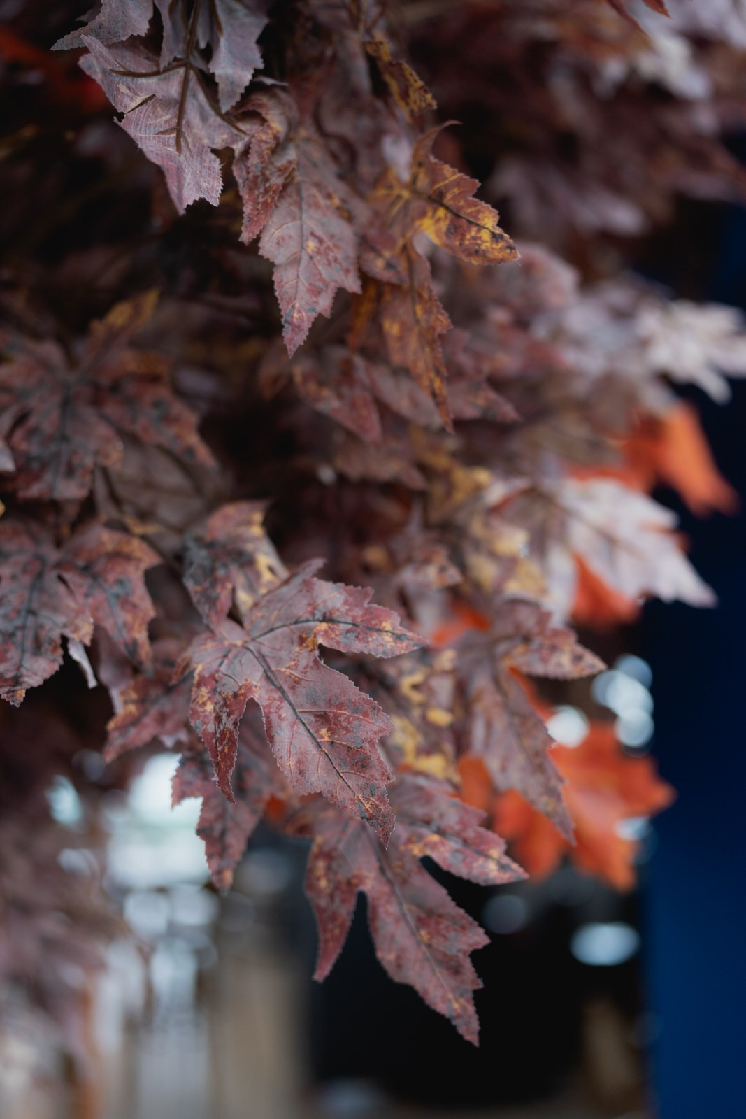 Juliana e Felipe. Fabio Barth | Foto e Filme de casamento