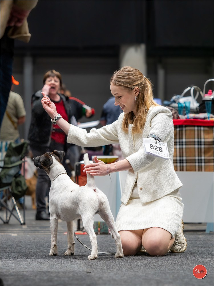 Dog Show Offenbourg  🇩🇪  14-15/03/2026. Photographe à Strasbourg | Portraits, Studio, Enfants, Événements