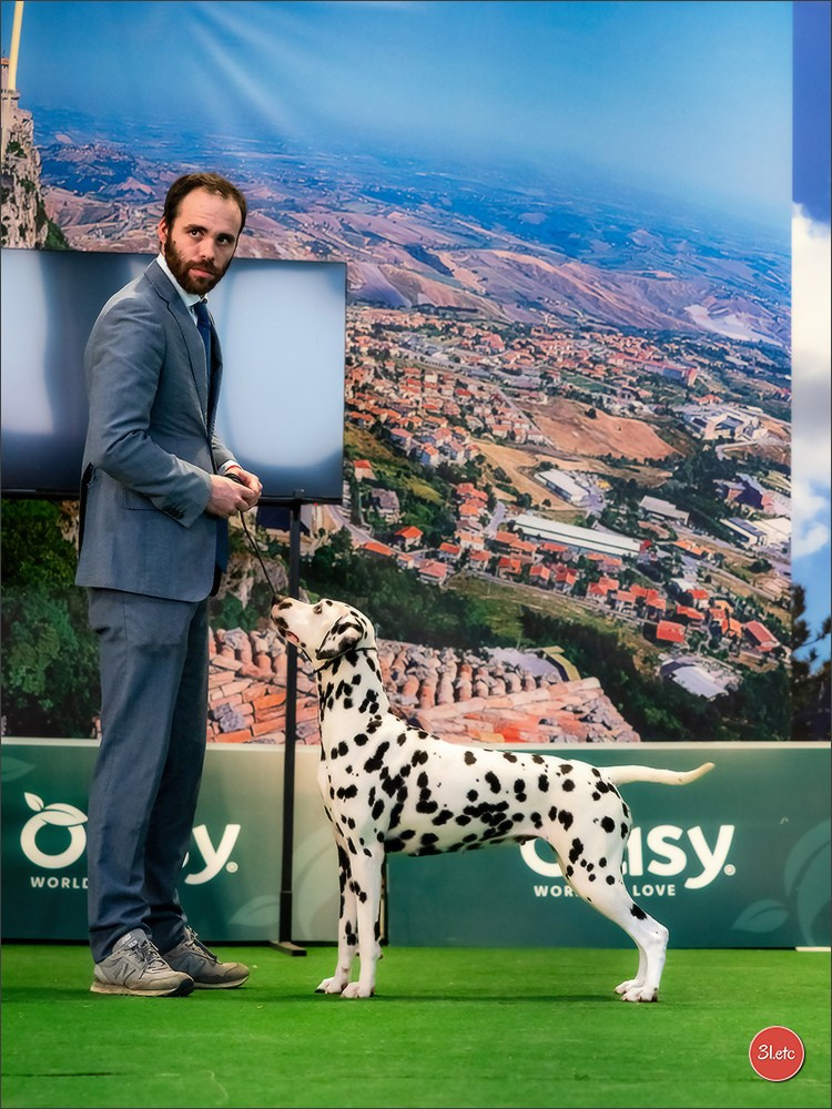 Dog Show  🇮🇹  San Marino. Photographe à Strasbourg | Portraits, Studio, Enfants, Événements