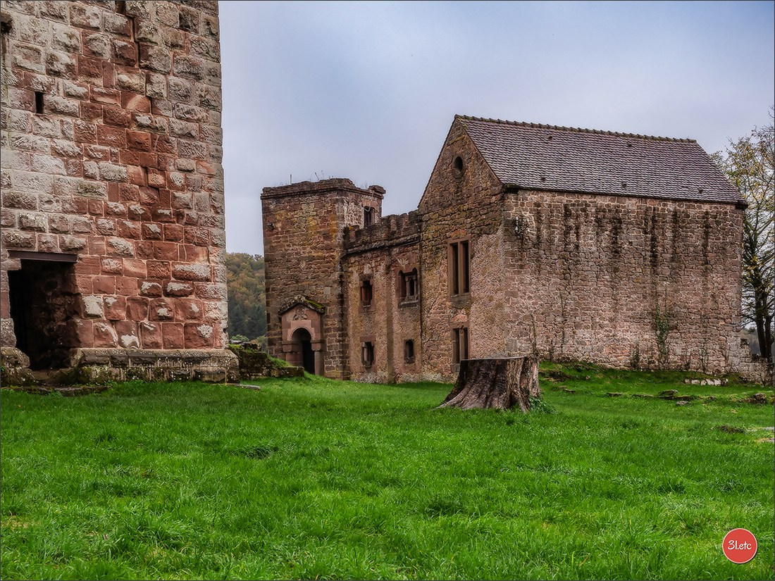 Ретрит в Эльзасе с Марией Ланг. Photographe à Strasbourg | Portraits, Studio, Enfants, Événements