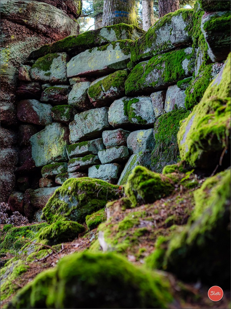 Ретрит в Эльзасе с Марией Ланг. Photographe à Strasbourg | Portraits, Studio, Enfants, Événements