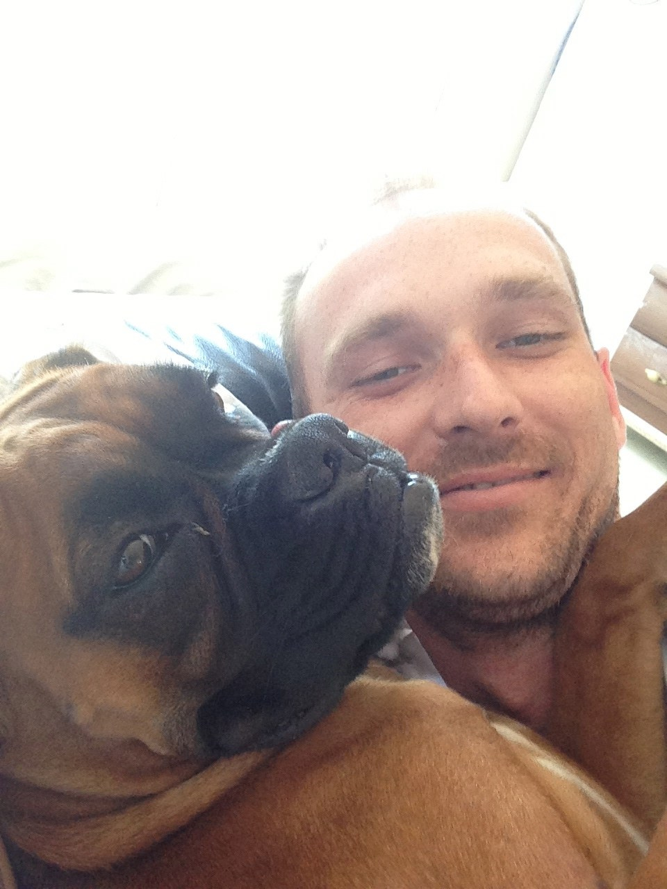 My ״Star״ Boxer Dog