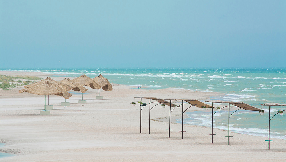Wind on the seashore in rainy weather anna biletska
