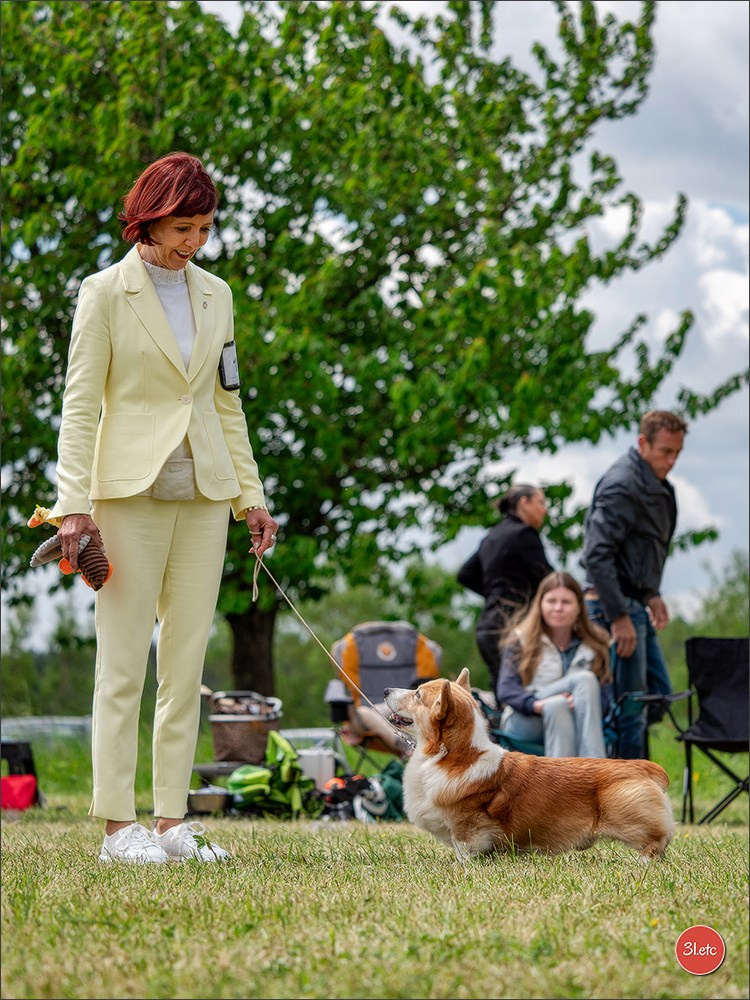 Dog Show Rieden 🇩🇪 16-18/05/2025. Photographe à Strasbourg | Portraits, Studio, Enfants, Événements