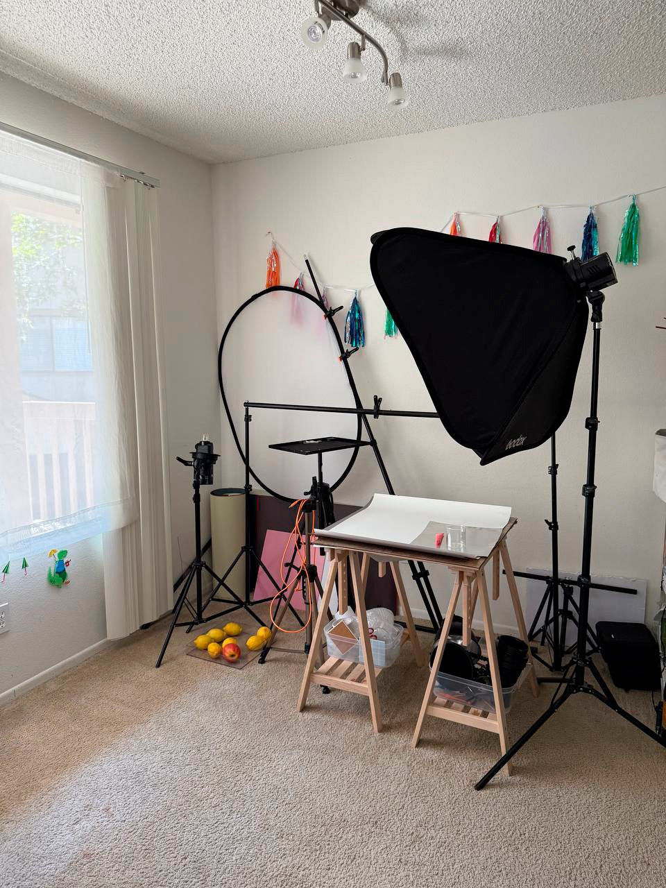 LILIIA ZABOTKINA food photographer California