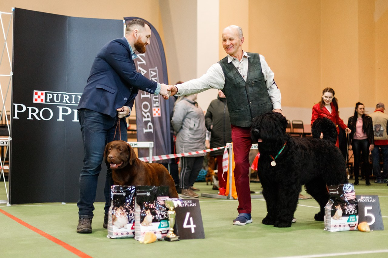 Grodno dog show. Kaja | fotograf we Wrocławiu | ludzie i psy
