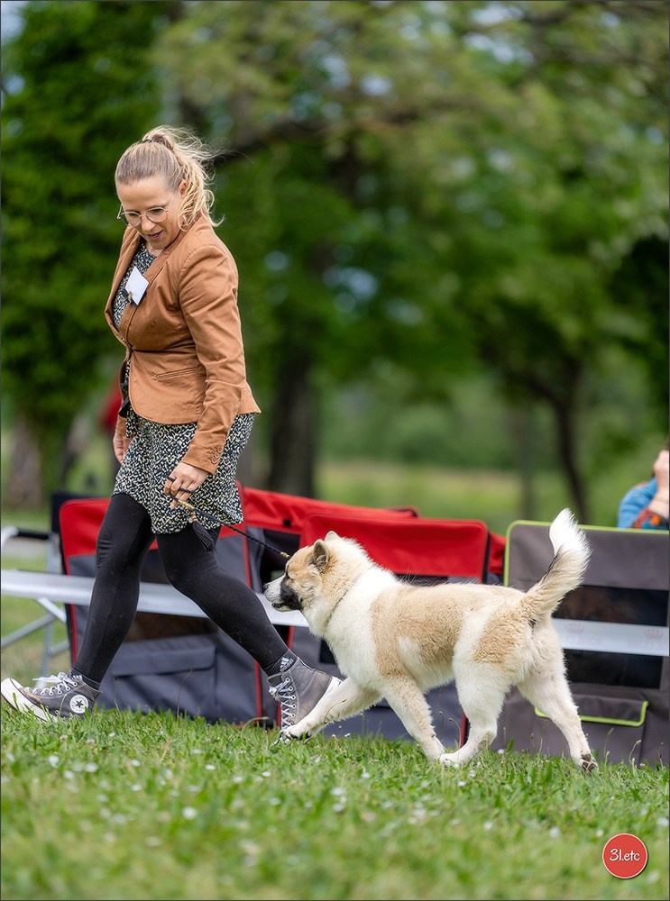 Expo canine 🇫🇷 Valence 02-03/05/2026