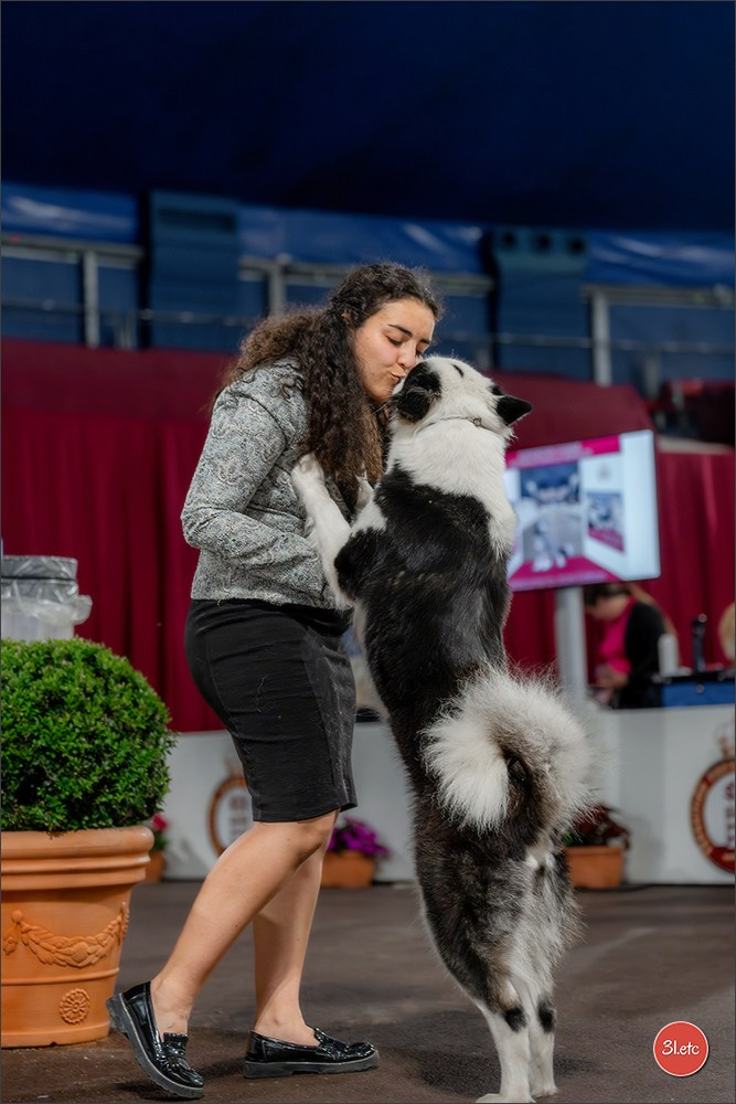 Expo canine 🇲🇨 Monaco 9-10/05/2026. Photographe à Strasbourg | Les animaux, Portraits, Studio, Événements