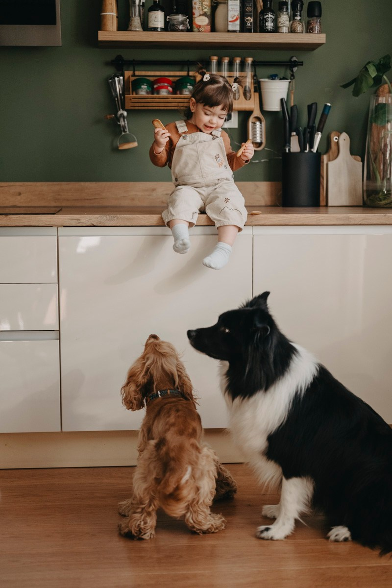 Natasa, Ema i Lazar — porodicno fotografisanje kod kuce. Deciji i porodicni fotograf u Beogradu Oksana Skendzic