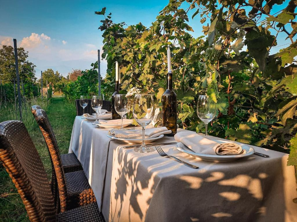 Schuchmann Wines Château, Villas & SPA. Главная