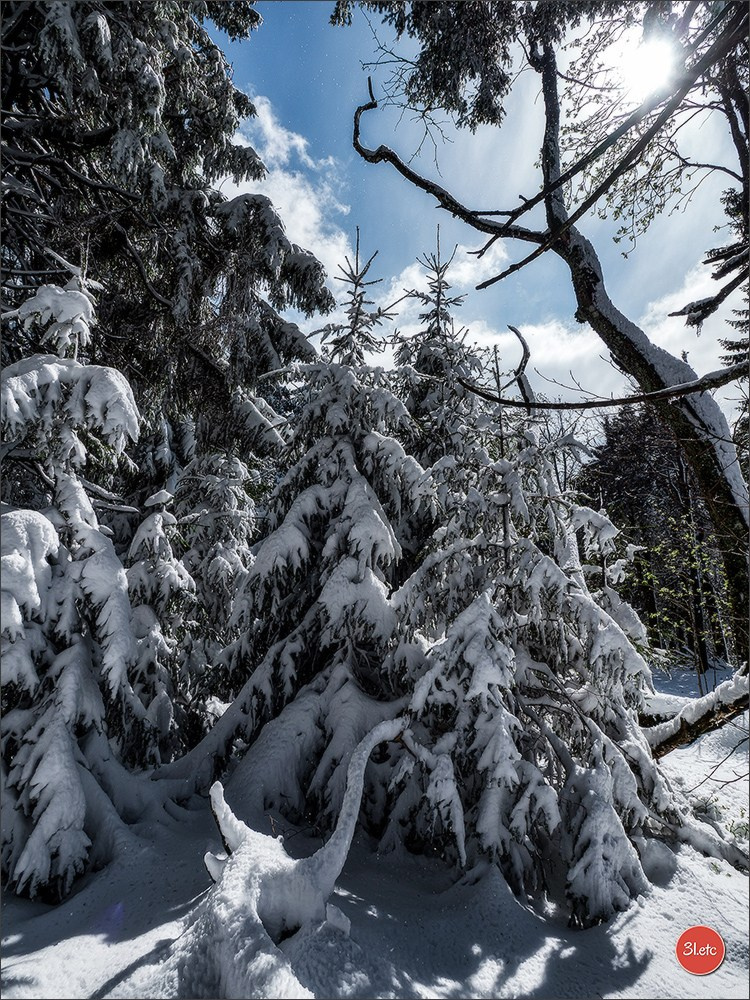 Temps étonnant fin avril en Alsace. Il a neigé. Photographe à Strasbourg | Portraits, Studio, Enfants, Événements