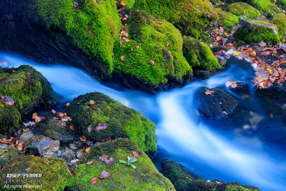 Water flowing, Catalan Pyrenees