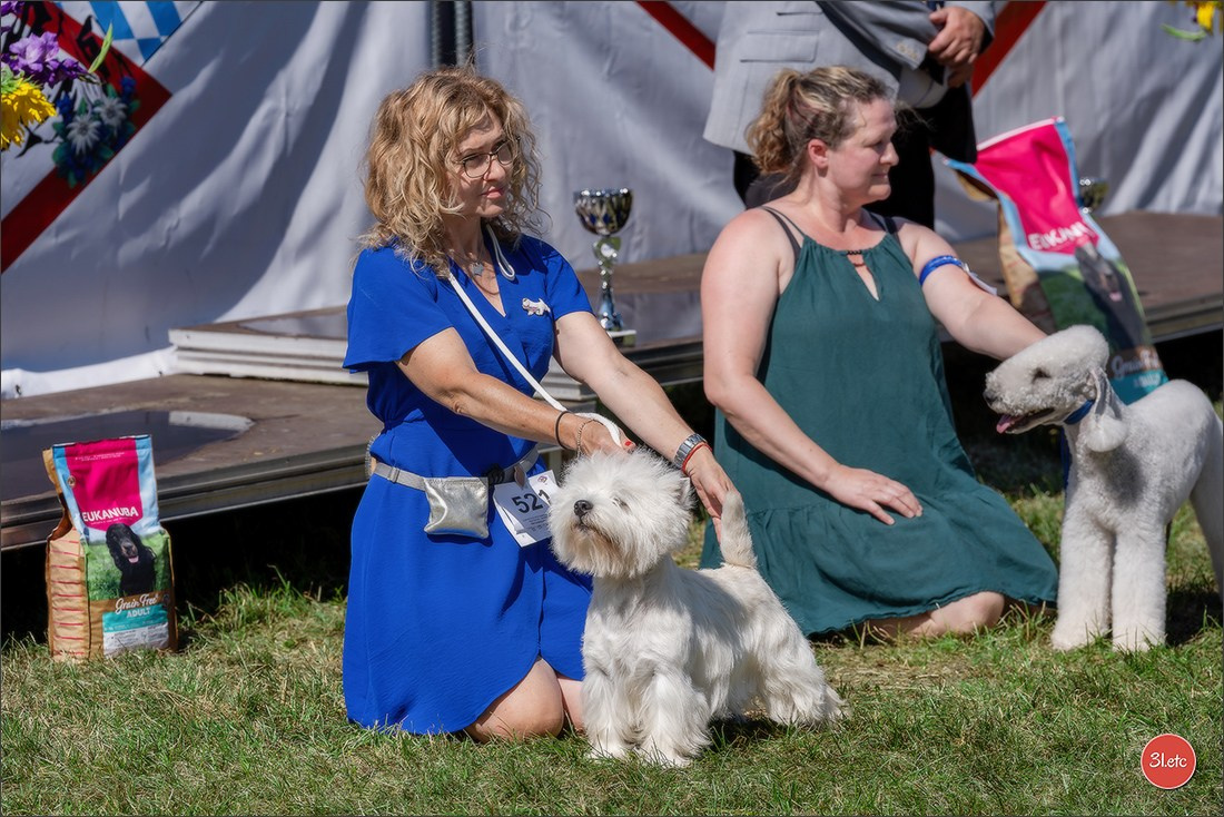 Dog Show - Hallbergmoos 🇩🇪 11-12/07/2026