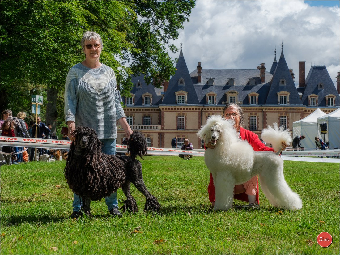 Photographie animalière. Photographe à Strasbourg | Portraits, Studio, Enfants, Événements