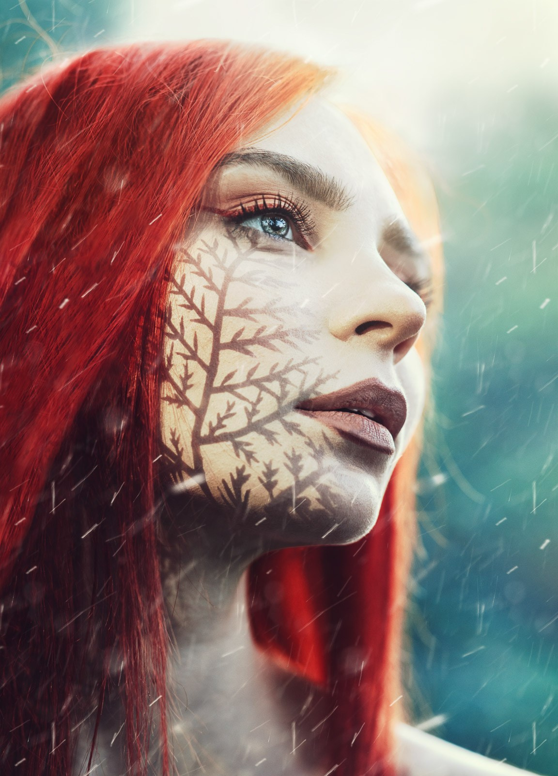 Shadows. The-yan.com