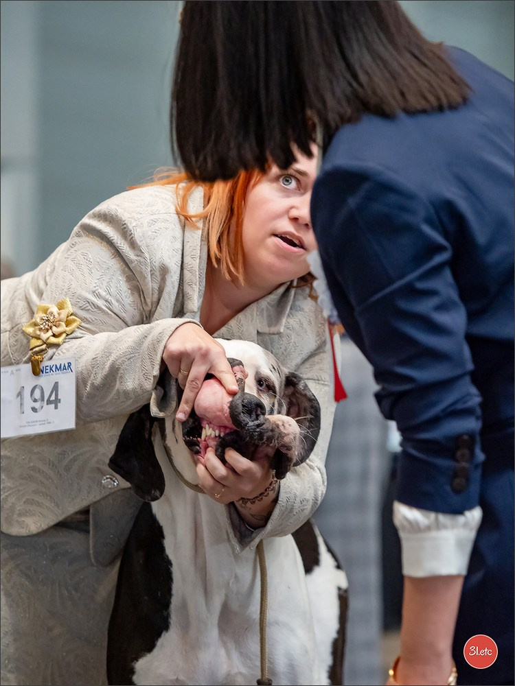 Photographie animalière. Photographe à Strasbourg | Portraits, Studio, Enfants, Événements