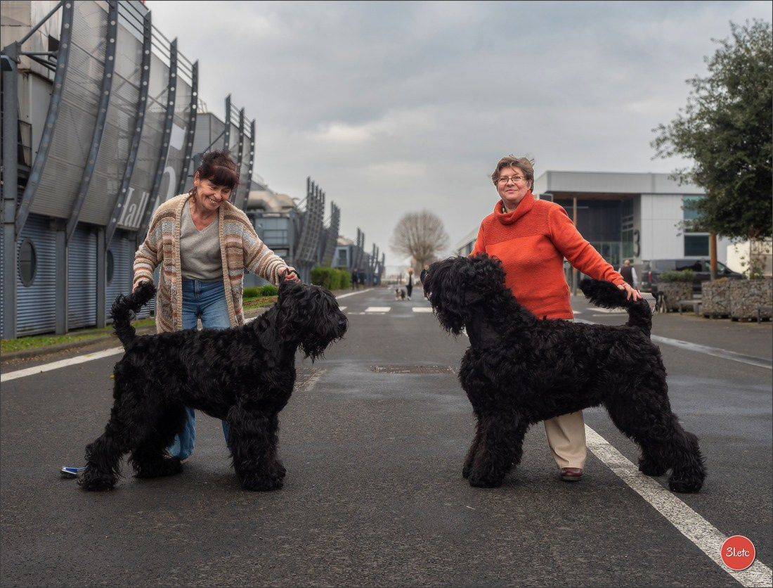 Exposition Canine à 🇫🇷 PARIS 12/01/2025. Photographe à Strasbourg | Portraits, Studio, Enfants, Événements