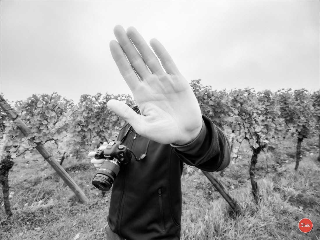 Ретрит в Эльзасе с Марией Ланг. Photographe à Strasbourg | Portraits, Studio, Enfants, Événements