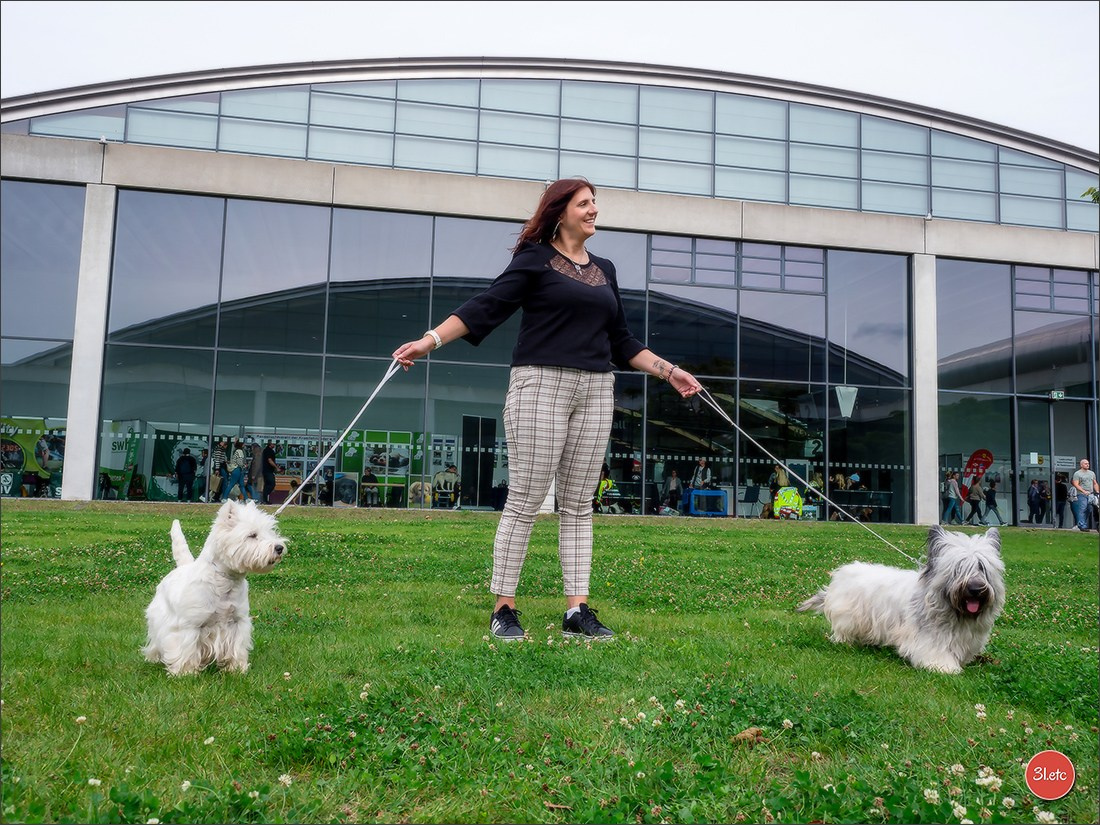 Exposition Canine à Karlsruhe 28-29/09/2024. Photographe à Strasbourg | Portraits, Studio, Enfants, Événements