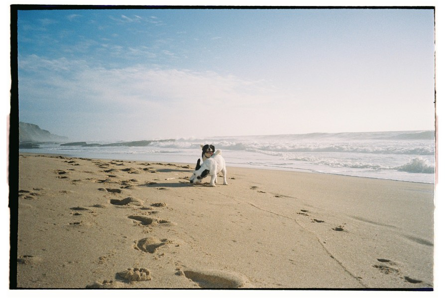 FILM. Valery — Film and digital Photographer. Conceptual, Portrait & Brand Photography. Authentic, Identity Focused Storytelling. Lisbon, Portugal