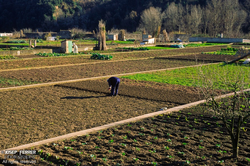 Fields, La Garrotxa, Catalunya