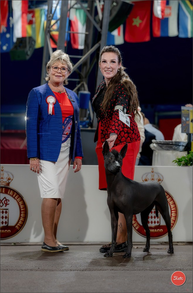 Expo canine 🇲🇨 Monaco 9-10/05/2026. Photographe à Strasbourg | Les animaux, Portraits, Studio, Événements