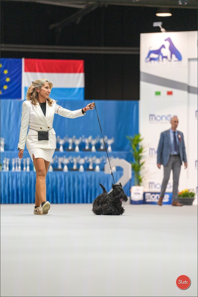 🇱🇺 LUXEMBOURG 🇱🇺 International Dog Show 4-5/04/2026. Photographe à Strasbourg | Portraits, Studio, Enfants, Événements