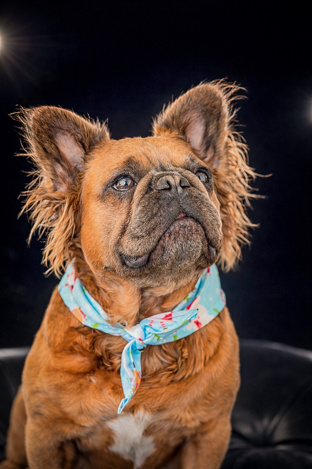 Retratos. Lucyfera Studio