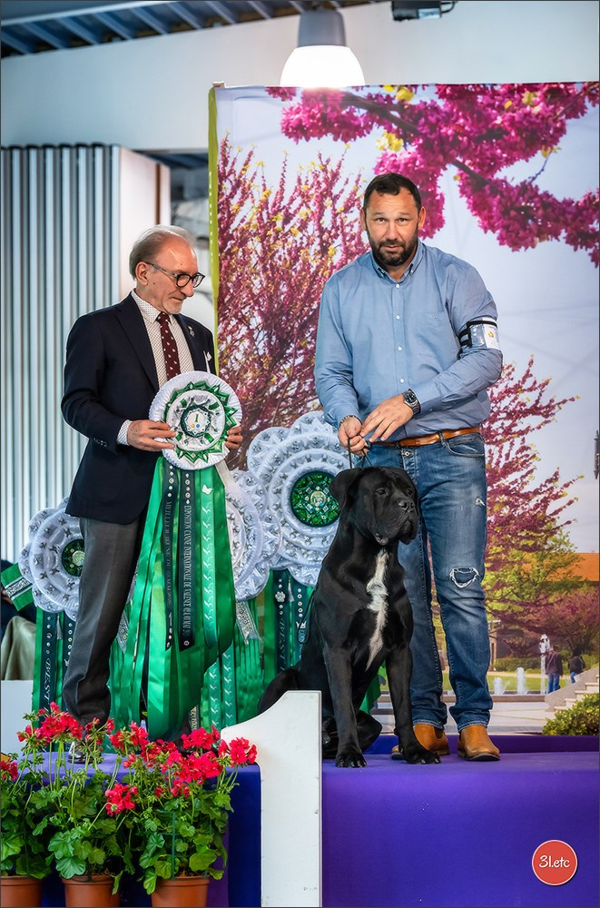 Expo canine 🇫🇷 Valence 02-03/05/2026