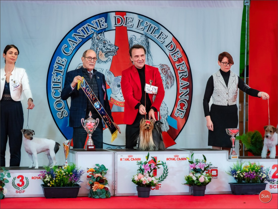 PDS  🇫🇷  Paris Dog Show  🇫🇷  Expo canine  10-11/01/2026. Photographe à Strasbourg | Portraits, Studio, Enfants, Événements
