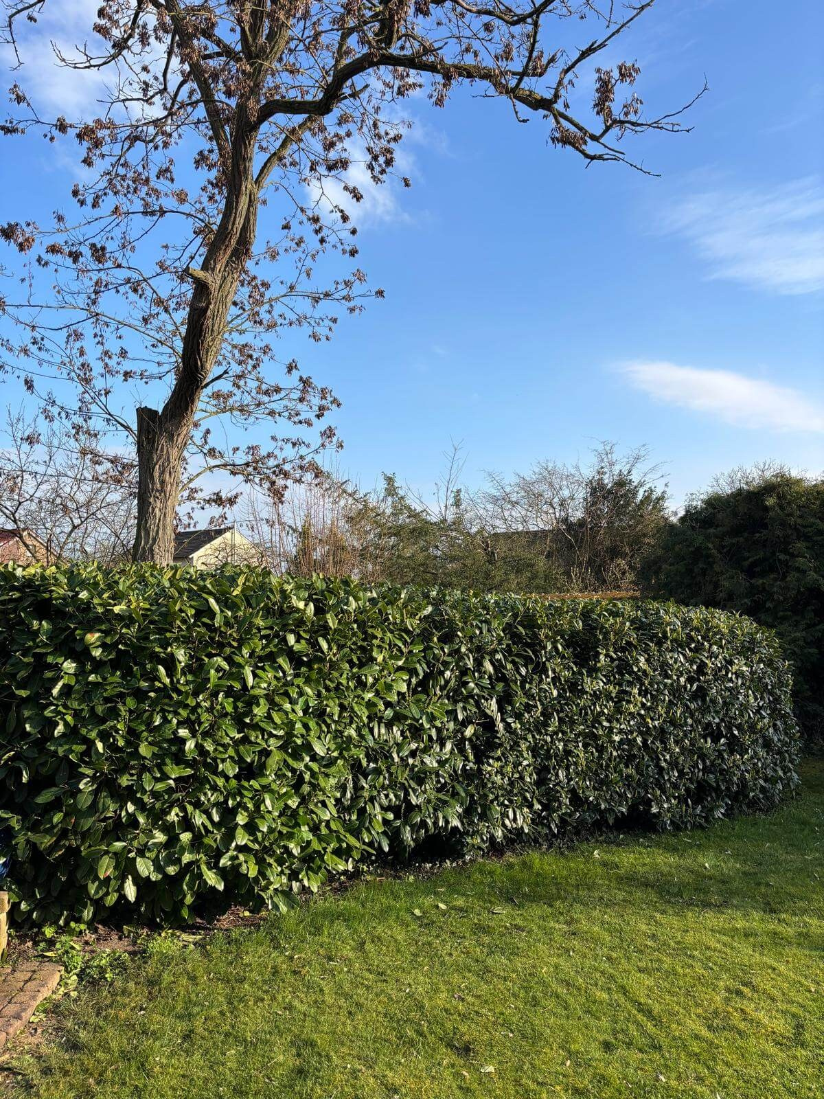 Gulda Gärtnerei - Gartenservice in Hamm, Soest, Beckum und Umgebung