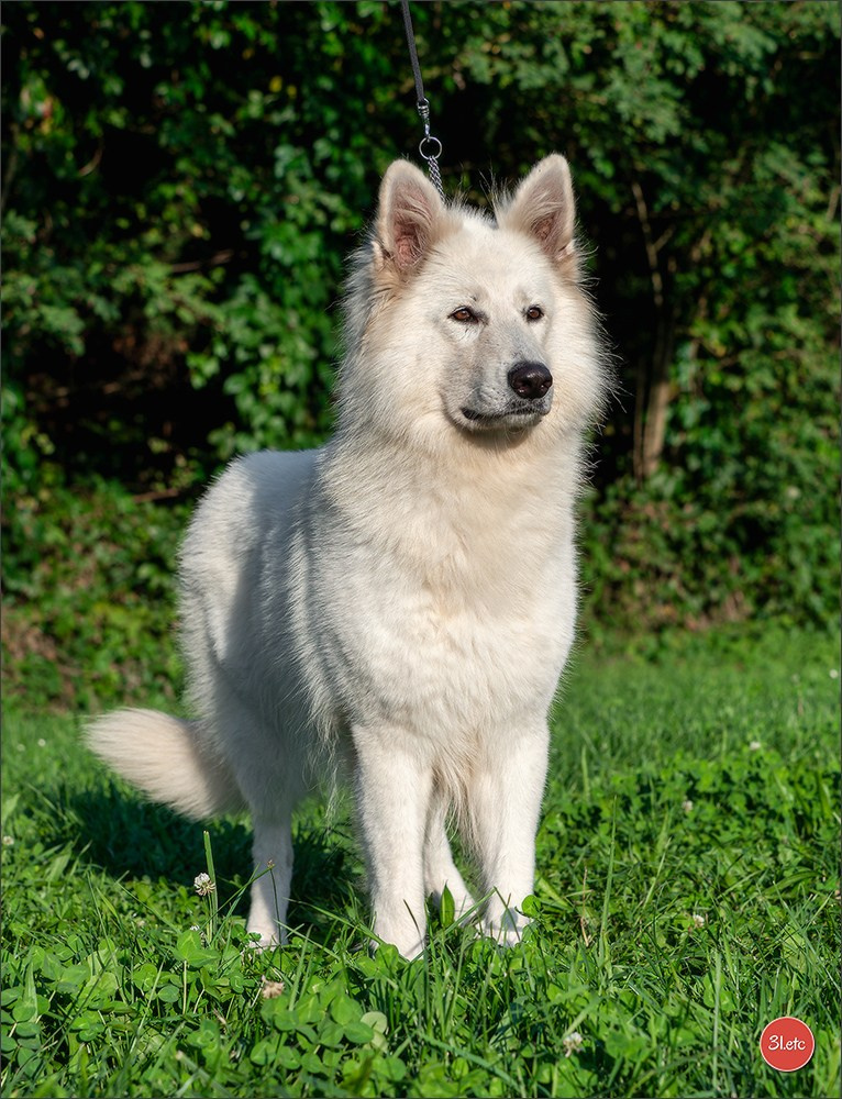 Domaine de la patte blanche. Photographe à Strasbourg | Portraits, Studio, Enfants, Événements
