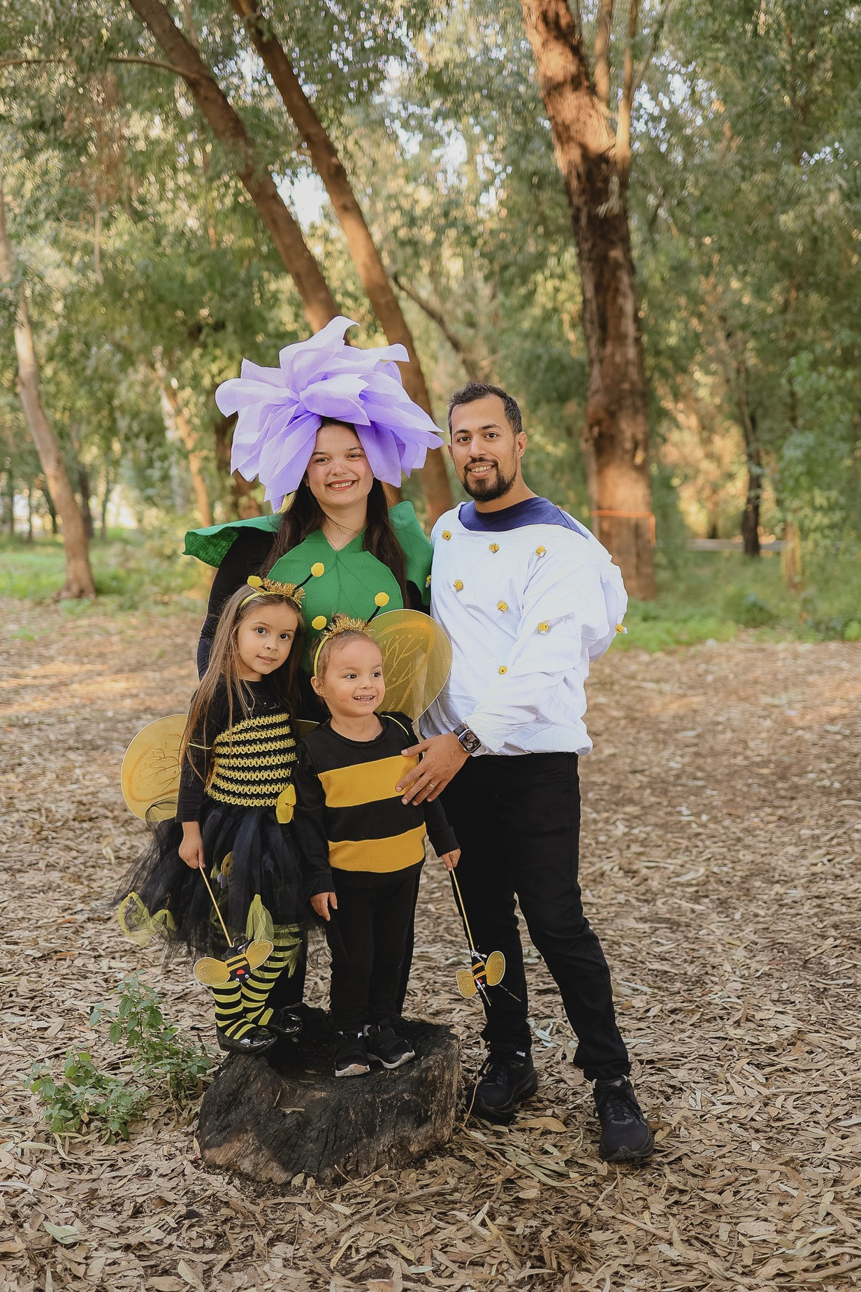 צילומי פורים בטבע. דף בית