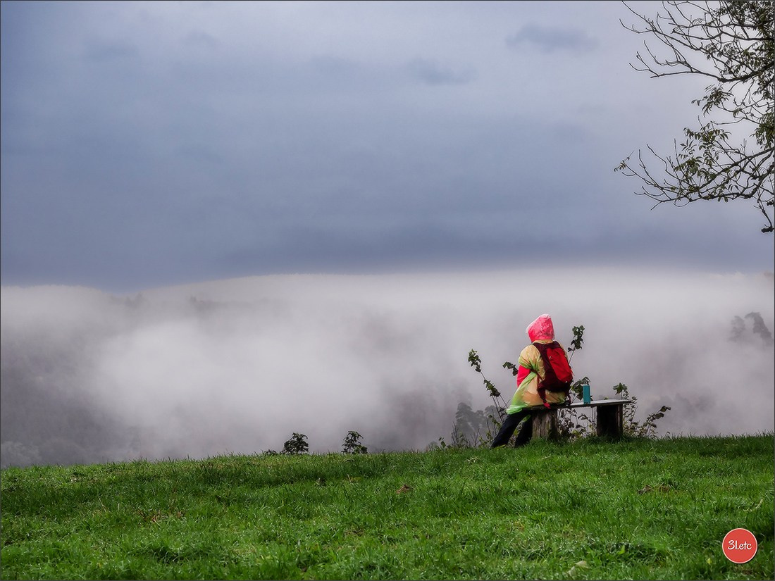 Ретрит в Эльзасе с Марией Ланг. Photographe à Strasbourg | Portraits, Studio, Enfants, Événements