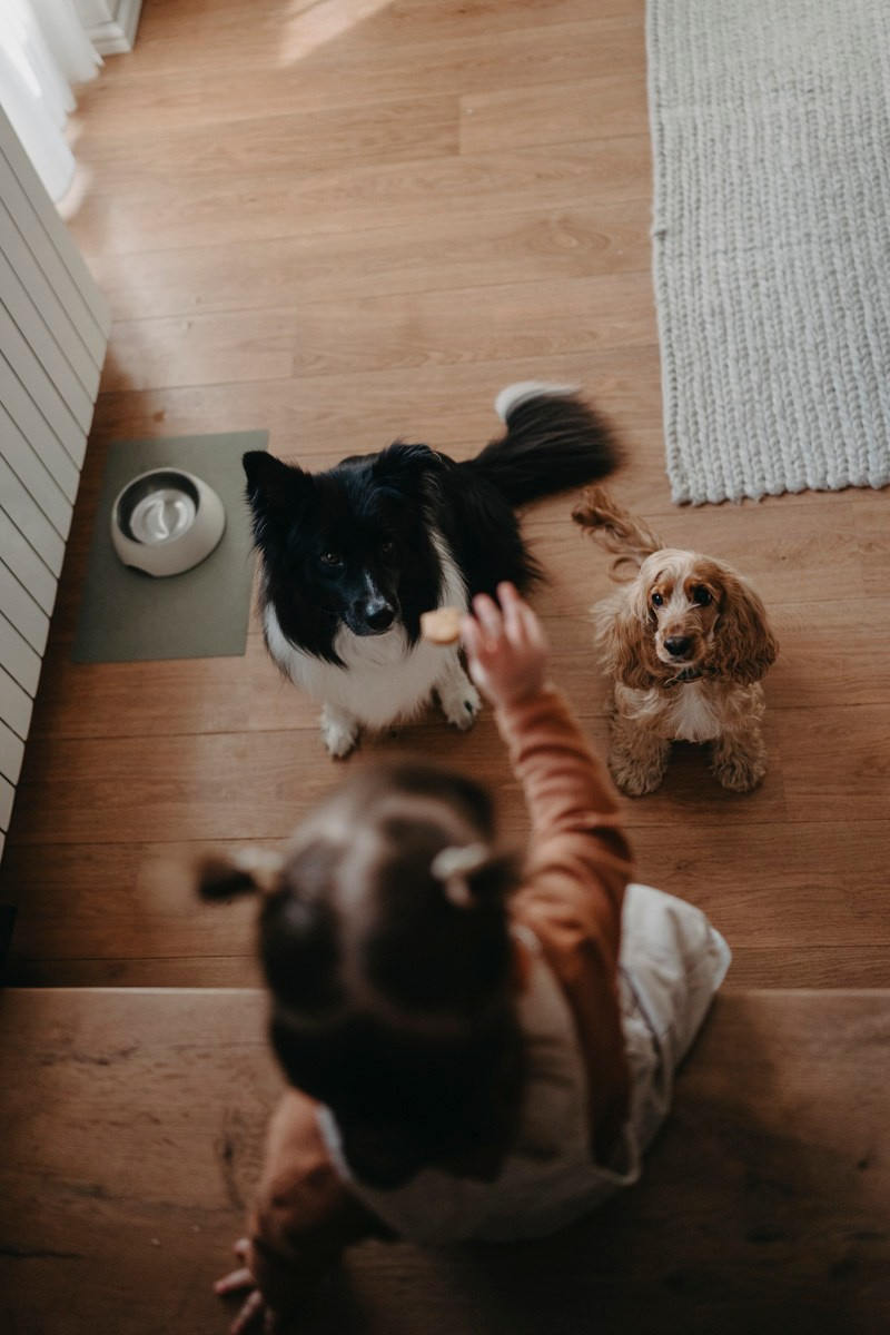 Natasa, Ema i Lazar — porodicno fotografisanje kod kuce. Deciji i porodicni fotograf u Beogradu Oksana Skendzic