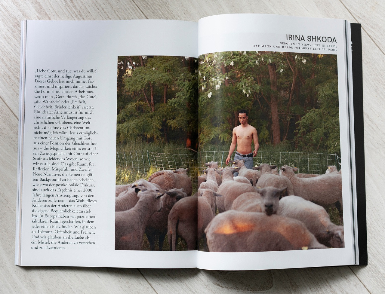 Frankfurter allgemeine Quarterly Irina Shkoda