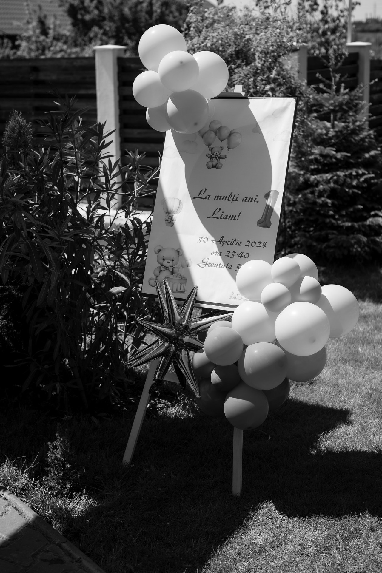 Opinii. Bordeiionutfotograf