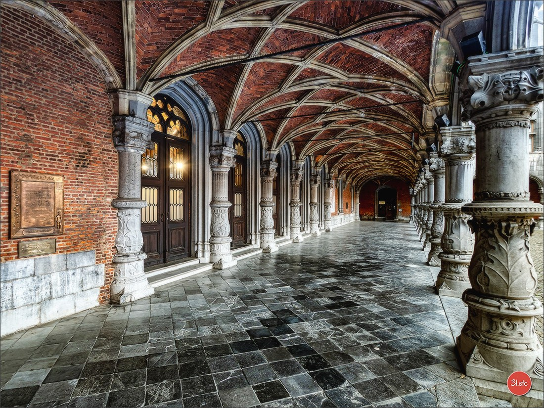 🇧🇪 Liege Belgium. Photographe à Strasbourg | Portraits, Studio, Enfants, Événements