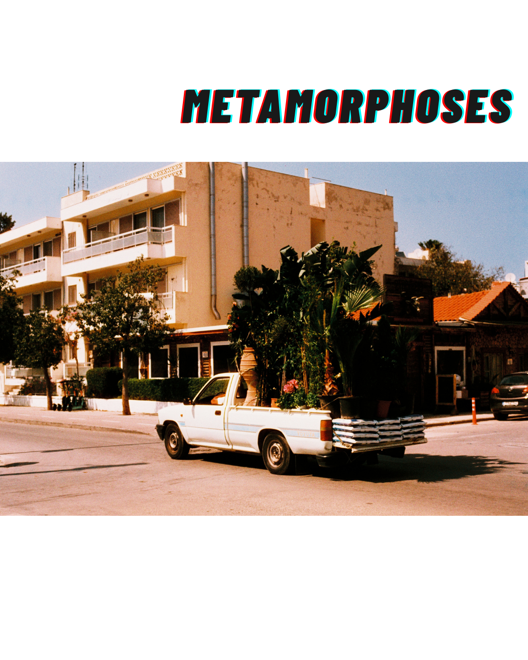 Transformation. Portrait photographer in Madeira — Marina Shtukina