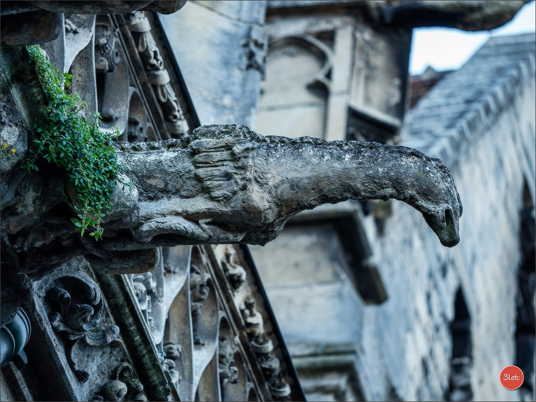 Margny-lès-Compiègne. Photographe à Strasbourg | Portraits, Studio, Enfants, Événements