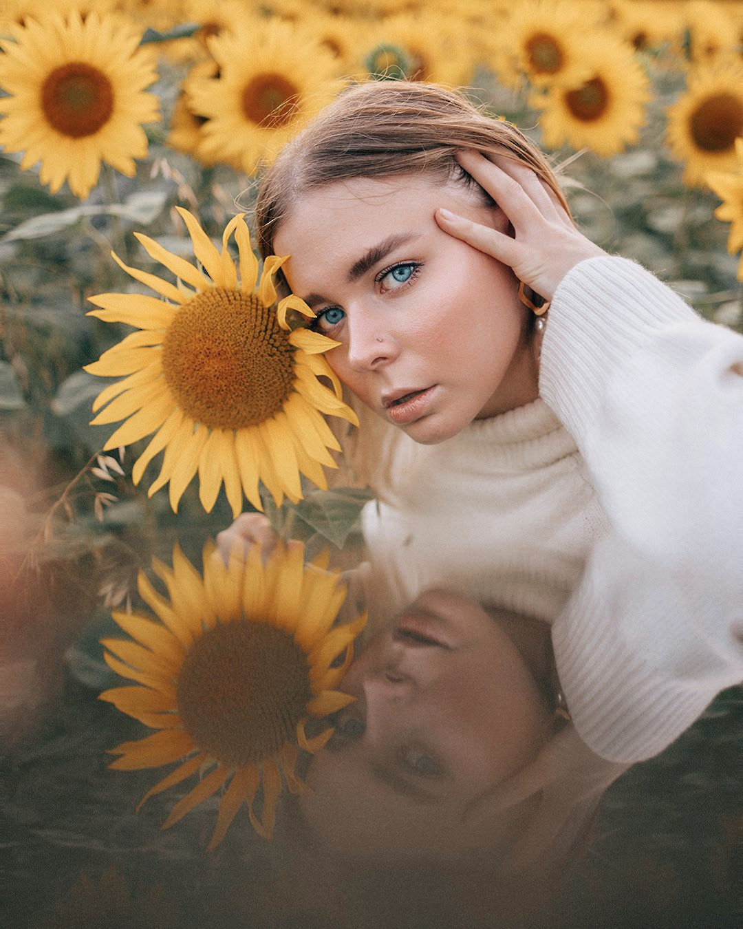 August. Sunflowers. Family photograph in Munich Anastasia Vorobtsova
