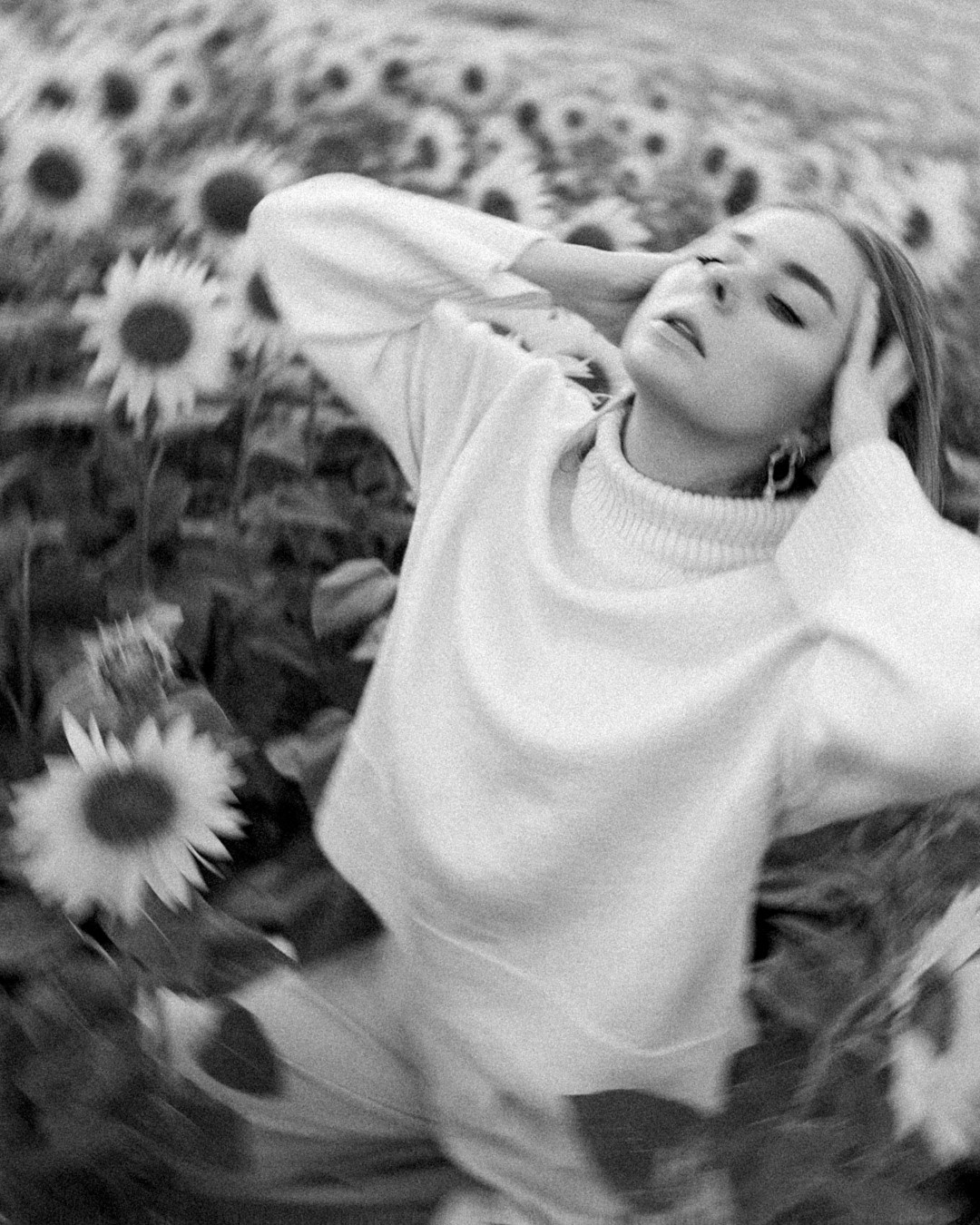 August. Sunflowers. Family photograph in Munich Anastasia Vorobtsova